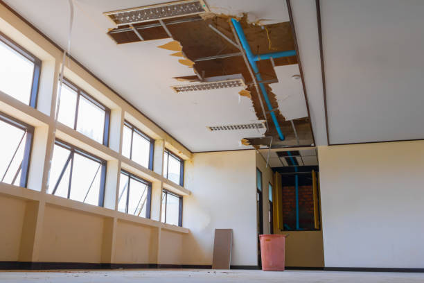 Best Emergency water damage restoration  in Webster Groves, MO