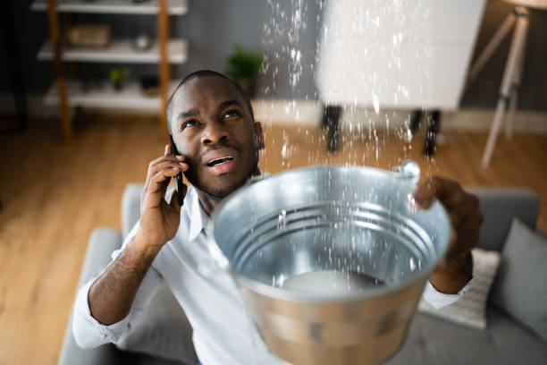 Best Local water damage restoration  in Webster Groves, MO