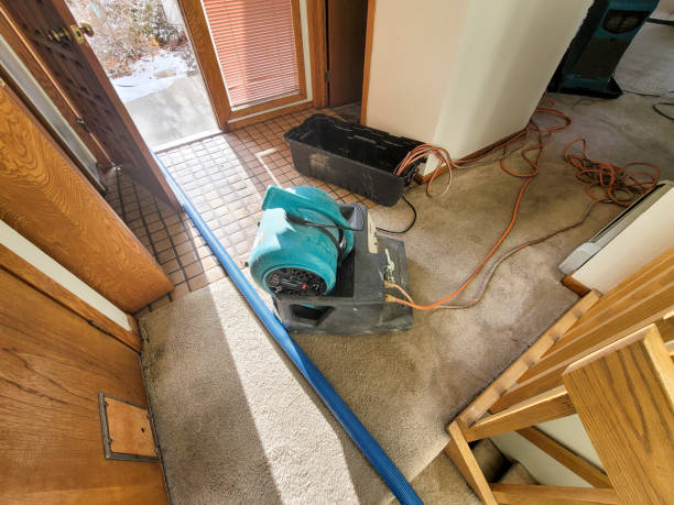 Water damage restoration mold remediation in MO
