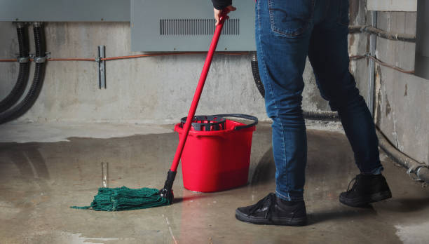 Best Water damage restoration mold remediation  in Webster Groves, MO