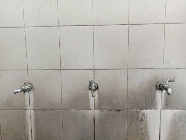 Best Water damage restoration near me  in Webster Groves, MO