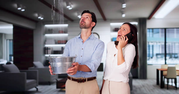Best Water damage cleanup near me  in Webster Groves, MO