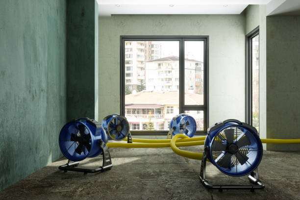 Best Emergency water damage restoration  in Webster Groves, MO