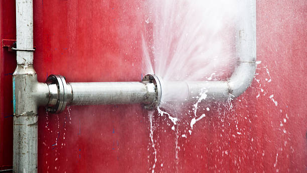 Best Flood restoration services  in Webster Groves, MO