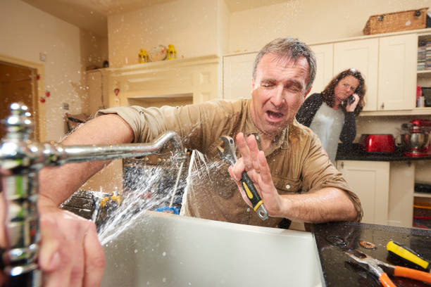 Best Water damage restoration company  in Webster Groves, MO